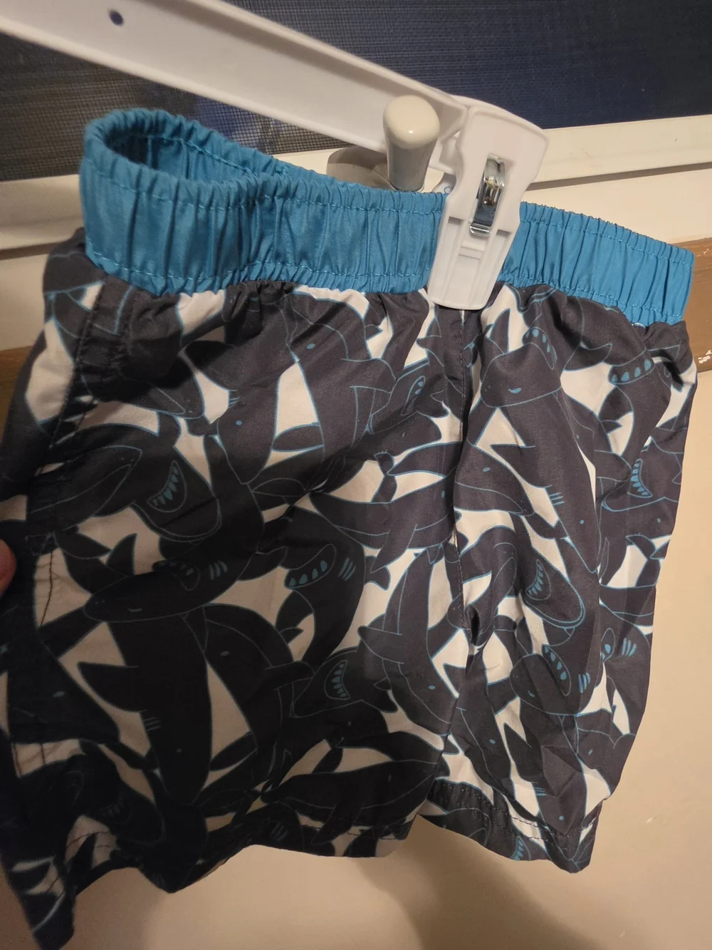 Freestyle Boys' Shark Swim Trunks in Teal and Gray
